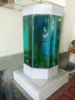500 лт 8 угольный аквариум сотилади