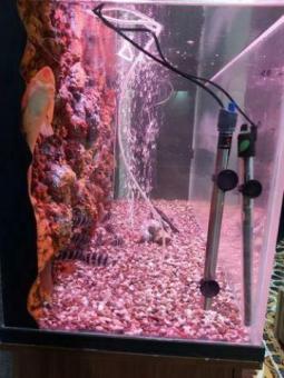 Акриловые аквариум на 400 литров