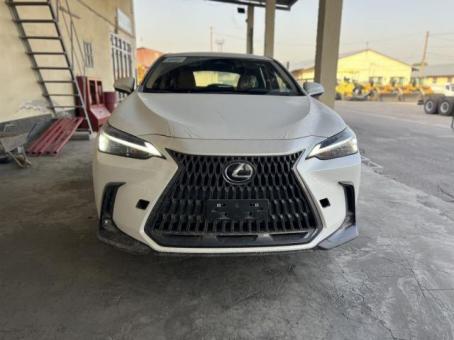 Lexus NX 350 AWD 2022