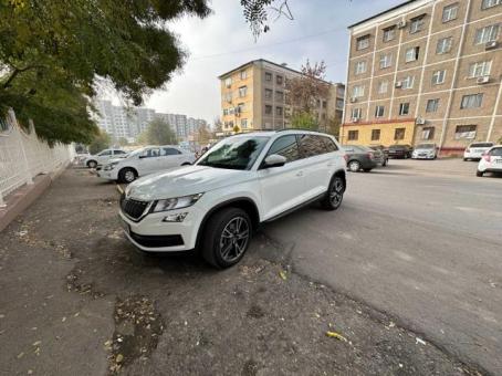 Skoda kodiaq. Ambition