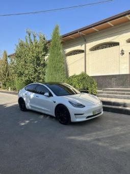 Tesla car_model 3 standard plus 2020