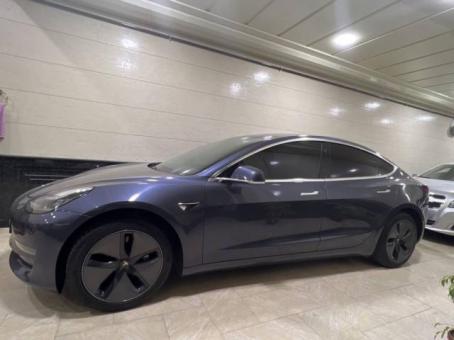 Tesla car_model 3 standart