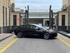 Tesla car_model Standart plus 2022