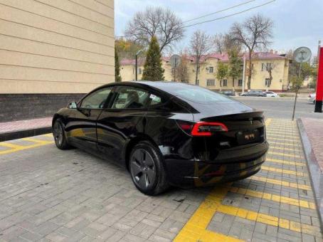 Tesla car_model Standart  plus 2022