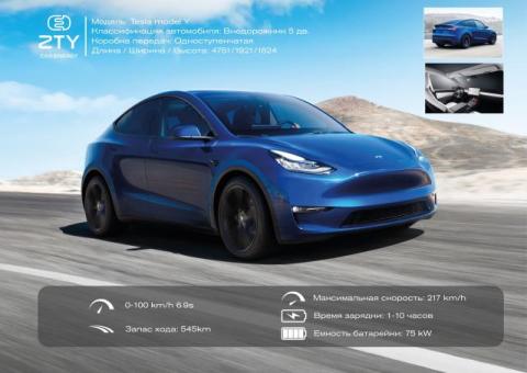 TESLA car_model Y Standart 2022