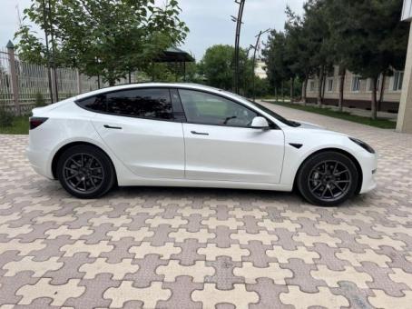 Tesla 3 Standart Plus