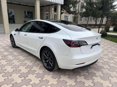 Tesla 3 Standart Plus