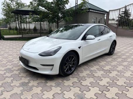 Tesla 3 Standart Plus