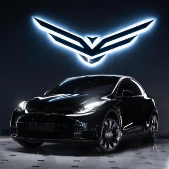 Tesla car_model Y performance