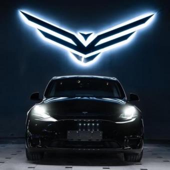 Tesla car_model Y performance