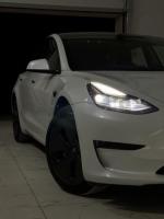 Tesla car_model 3 Standard 2021