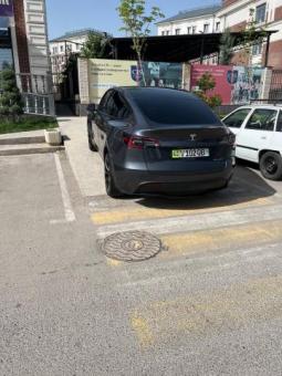 Tesla car_model Y Long Range AWD