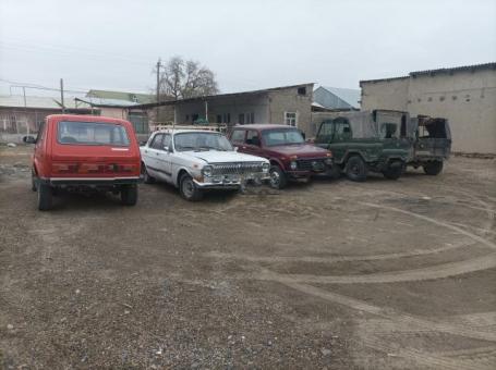 Uaz volga nivalar optimga beriladi